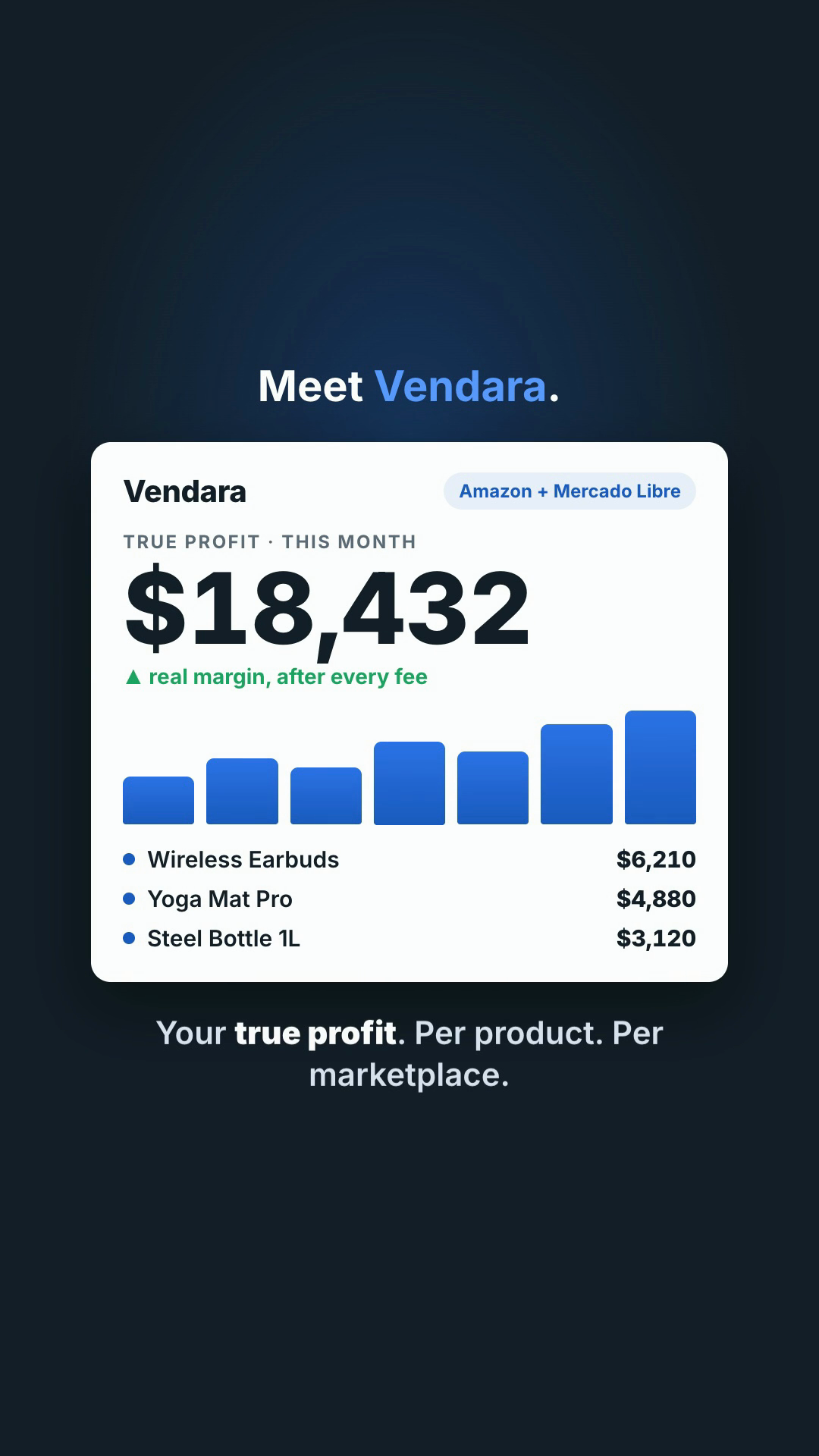 The product-reveal scene: an on-brand dashboard with a profit figure counting up.